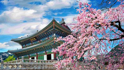 中资企业出海热门之选｜一文读懂韩国公司注册要求与流程