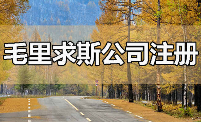 怎么注册毛里求斯公司，2026年注册最新指南和资料|离岸公司注册服务